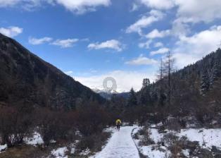 异形：隔离